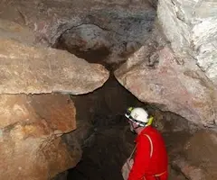 Fotografia de PETRECÓ, COVA DEL (8 de 8)