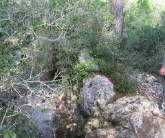 Fotografía de MONTESINOS, AVENC (3 de 7)