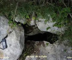 Fotografia de FULLA, AVENC DE LA (1 de 1)