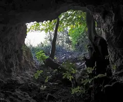 Fotografía de FIGUERA, COVA DE LA (2 de 3)