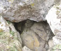 Photographie de FREDA, COVA (1 sur 5)