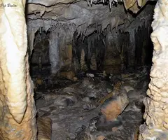 Fotografia de PI, COVA DEL (6 de 7)