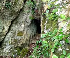 Fotografia de DOU, COVA DE LA (1 de 3)