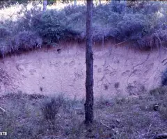 Fotografía de ROQUETA, FORAT DE LA (4 de 10)