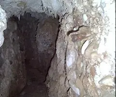 Photographie de CERÀMICA, COVA DE LA (4 sur 4)