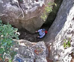 Photograph of BOIRA, FORAT DE LA (3 of 8)