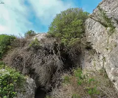 Fotografía de PORTELL, COVA DEL (1 de 3)