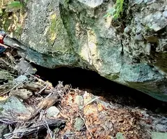 Fotografia de REC DE LES MUNTANYETES, COVA DEL (2 de 7)