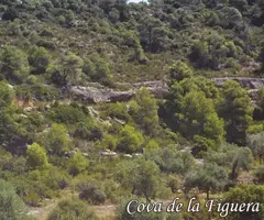 Fotografia de FIGUERA D'EN BLAI, COVA DE LA (1 de 1)