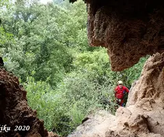 Fotografia de TOSQUES DEL GLORIETA, COVA DE LES (4 de 4)