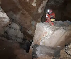 Fotografia de PEIXET, COVA D'EN (18 de 35)