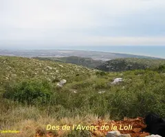 Photograph of LOLI, AVENC DE LA (2 of 6)
