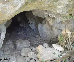 Photographie de FONT, COVA DE LA (2 sur 11)