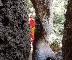 Fotografia de COLUMNA, COVA DE LA (7 de 8)