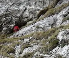 Fotografia de CARABASSER, GRALLERA DEL (1 de 4)