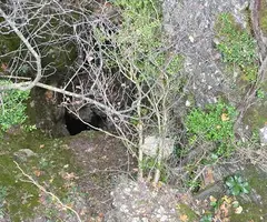 Fotografía de PIPA, AVENC DE LA (3 de 3)