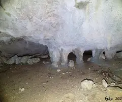 Fotografía de PASTOR, COVA DEL (8 de 12)