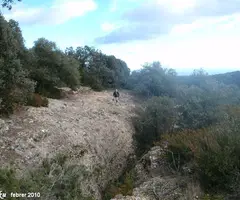 Fotografia de GRAELLS, POU DELS (1 de 12)