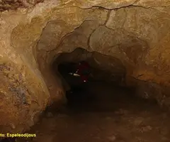 Photographie de CARRADON, COVA DE (8 sur 9)
