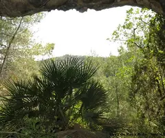 Fotografia de ROCA RUBÍ, COVES DE (2 de 4)