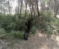 Fotografía de CLAR Nº 4, AVENCÓ (1 de 2)