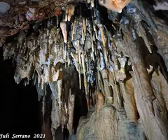 Fotografia de FRONTAL, COVA DEL (12 de 17)