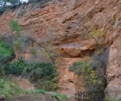 Photograph of FIGUEROT, BALMA I FONT DEL (2 of 2)