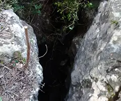 Fotografia de SERRA DEL MAS, COVA SM-14 DE LA (1 de 4)