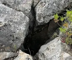 Photographie de CAMÍ DEL RÒSSEC, AVENC DEL (1 sur 1)