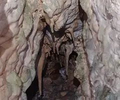 Fotografia de SERRA DEL MAS, COVA SM-18 DE LA (3 de 6)