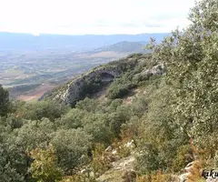 Photograph of COLOMS, BALMA D'EN (1 of 5)