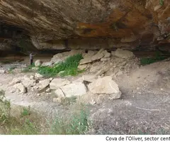 Fotografía de OLIVER, COVA Nº1 DE L' (1 de 3)