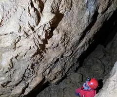 Photographie de PATXARRO, COVA (4 sur 9)