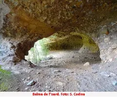 Photograph of ISARD, BALMA DE L' (4 of 4)