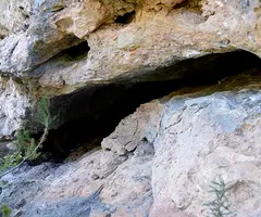 Fotografia de BRUTO, COVA DEL (1 de 5)