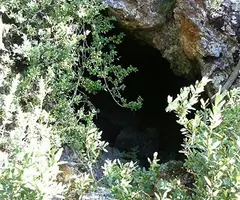 Fotografia de VIMA, COVETA OBRADA DE (1 de 2)