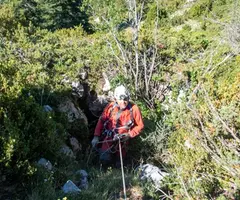 Fotografia de CERNERES, AVENCS PETITS DE (3 de 7)