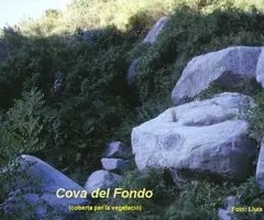 Fotografía de FONDO, COVA DEL (1 de 2)