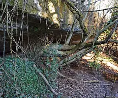 Photograph of FONT DE LA TEULA, BALMA DE LA (1 of 3)