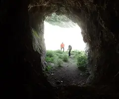Fotografia de ÓS, COVA DE L' (4 de 4)