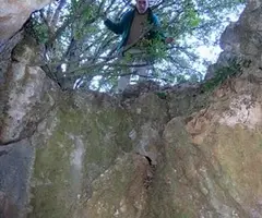 Photographie de OLLA, COVA DE L' (4 sur 4)