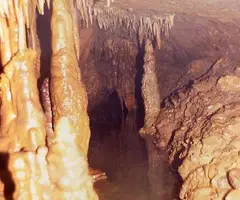 Fotografía de RIVERT,  FONT DE (5 de 8)