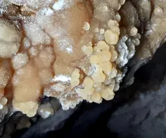 Fotografia de MUXÍ, COVA DE (4 de 6)