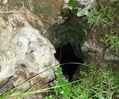 Fotografía de PASTOR, AVENC DEL (1 de 1)