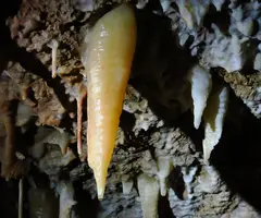 Fotografia de CAN RIGOL Nº 2, COVA DE (4 de 11)