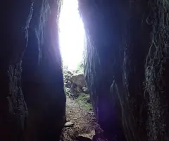 Fotografía de OSSOS, CAU DELS (7 de 7)