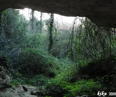 Fotografia de MOSQUERA, COVA DE LA (4 de 4)