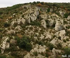 Photographie de PARDINA, GRALLER Nº4 DE LA (1 sur 8)