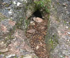 Photograph of CUENTO, AVENC DEL (1 of 1)