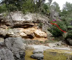 Photographie de MOLINOT, COVA DEL (1 sur 3)